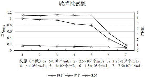 Sandwiched ELISA detection method for cryptosporidium parvum and applications thereof