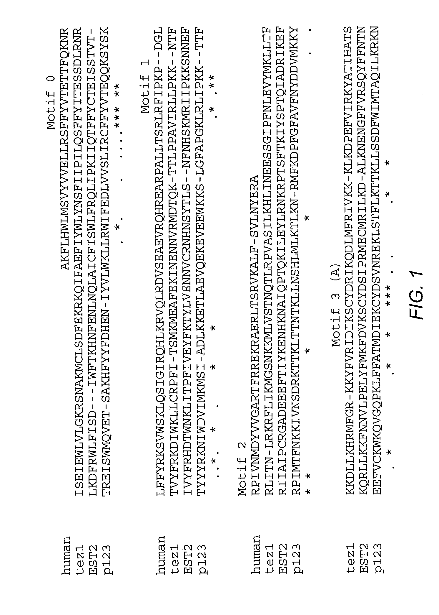 Kit for detection of telomerase reverse transcriptase nucleic acids