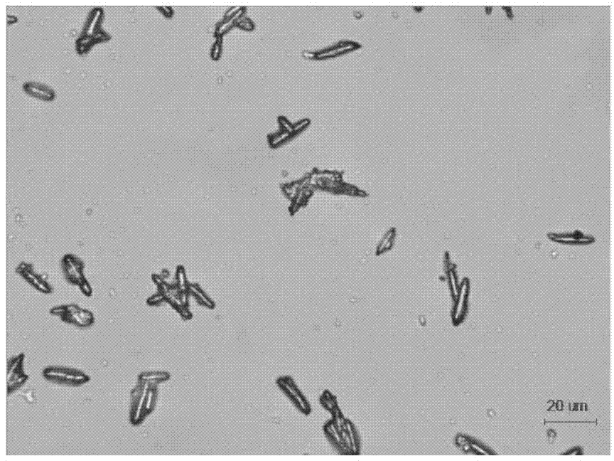 Preparation method of calcium carbonate whiskers by aluminic acid ester and sodium stearate in situ modification