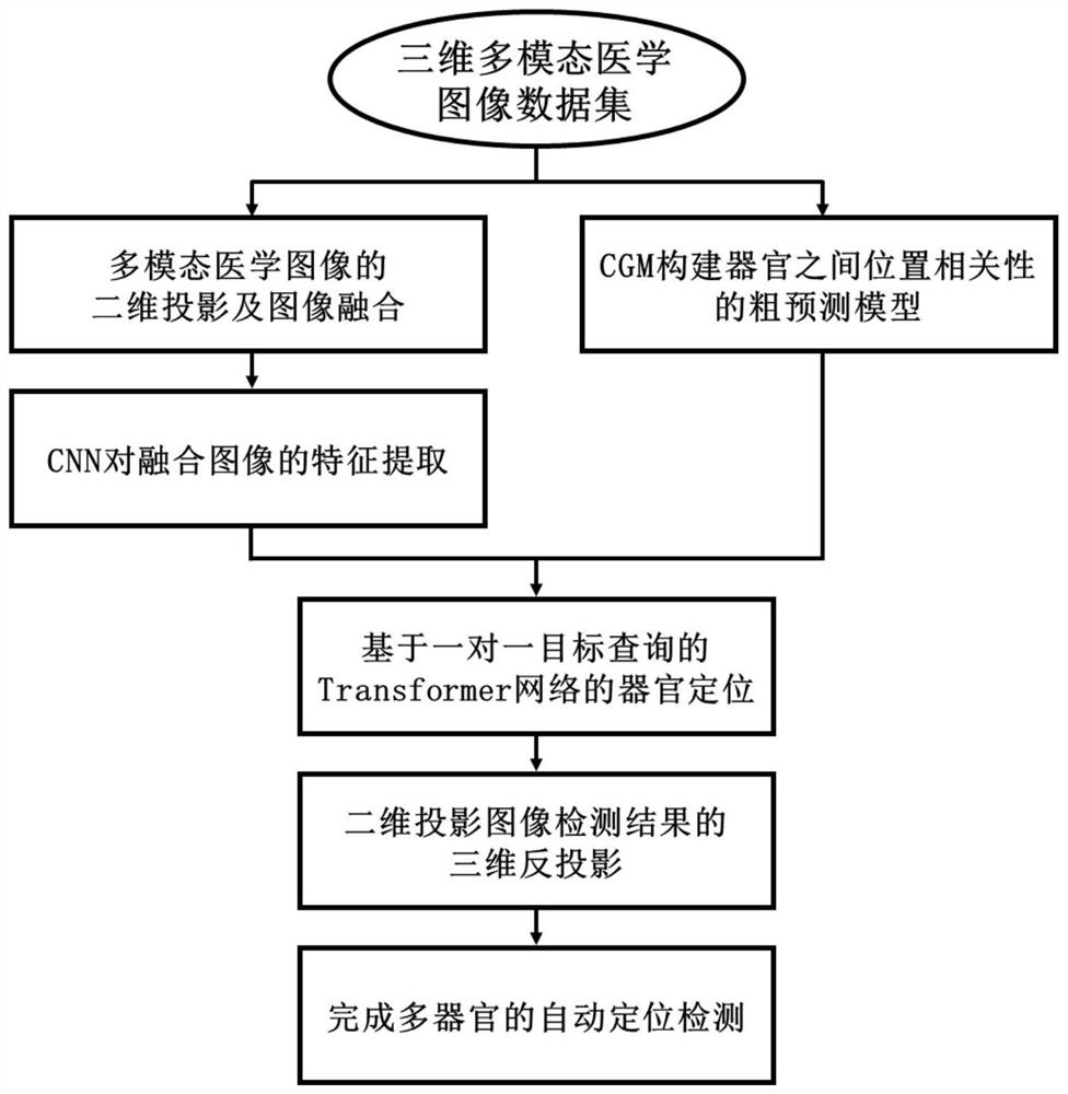 Multi-modal medical image multi-organ positioning method based on one-to-one target query Transform