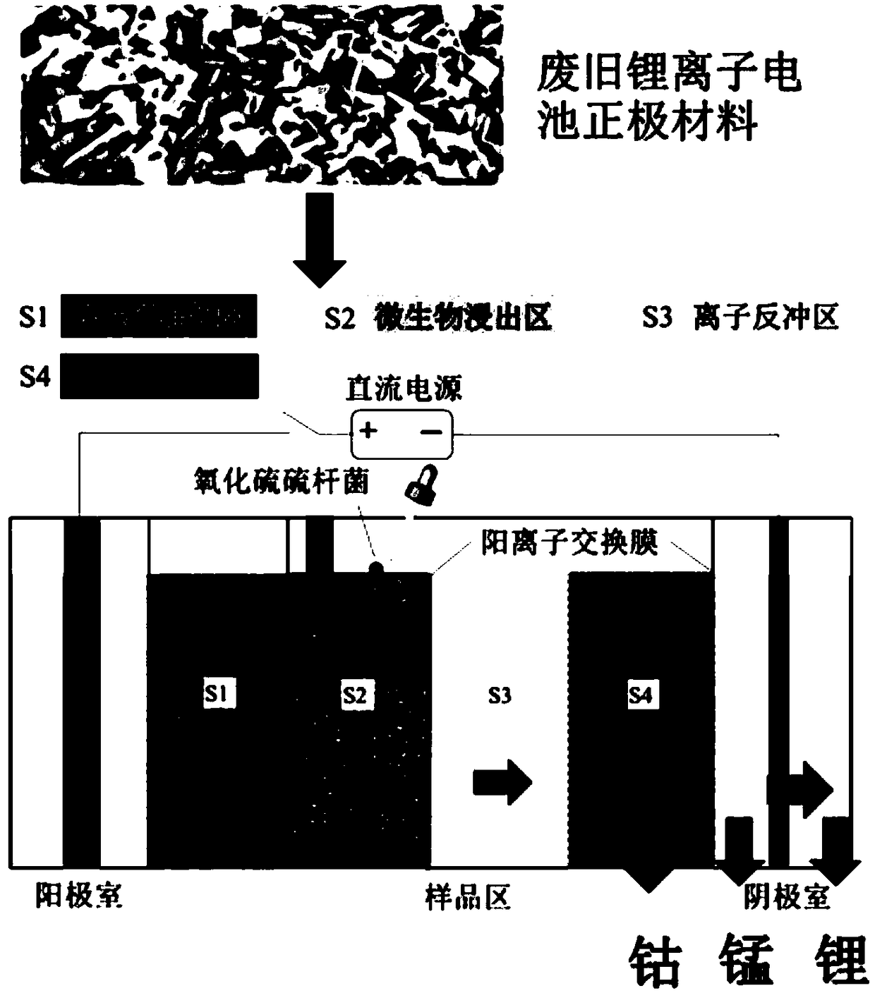 Method for synchronously separating and recycling cobalt, lithium and manganese from cathode material of waste lithium ion battery