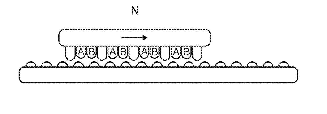 Molecular Motor