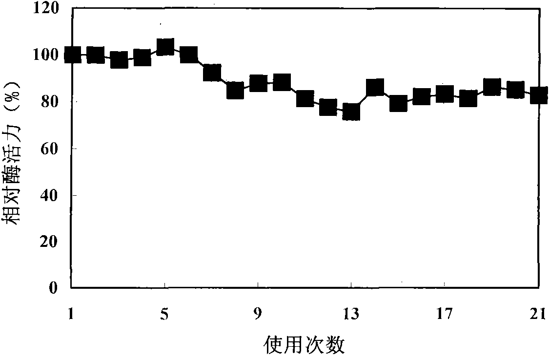 Preparation method of nanometer fiber immobilization beta-D-galactosidase