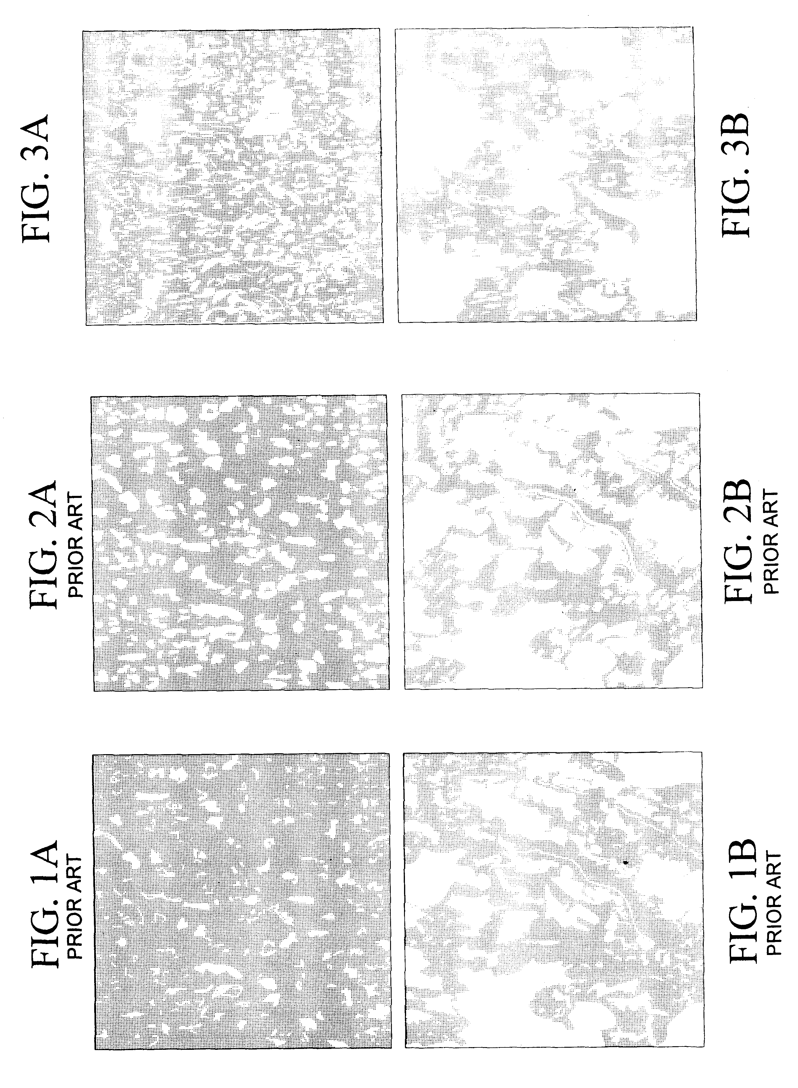 Processing technology for LCM samples