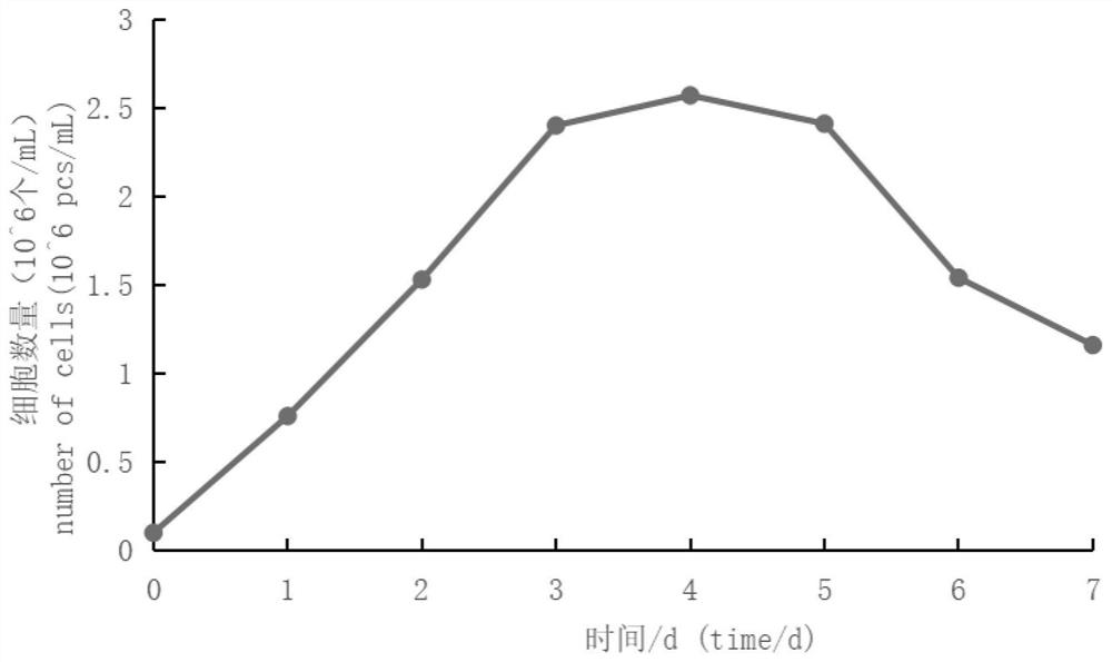 Tree shrew testicular interstitial cell isolated culture method and application thereof