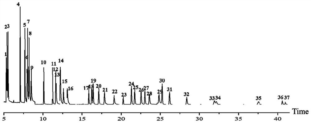 Method for synchronously extracting and analyzing polybrominated diphenyl ether, hydroxyl polybrominated diphenyl ether and methoxy polybrominated diphenyl ether in plants