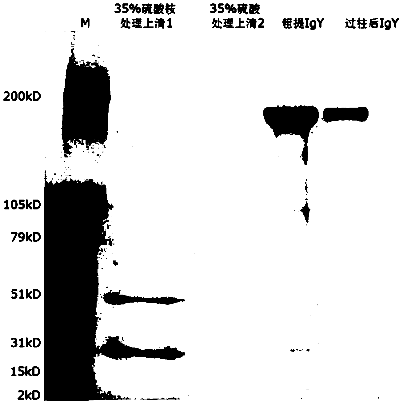 ELISA (Enzyme-Linked Immuno Sorbent Assay) detection kit for porcine epidemic diarrhea viruses and preparation method thereof