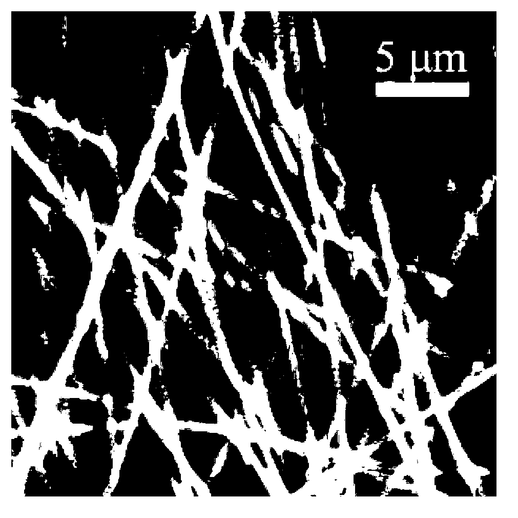 HMBG (High Mobility Group Box) 1 modified bone tissue engineering bracket material and preparation method thereof