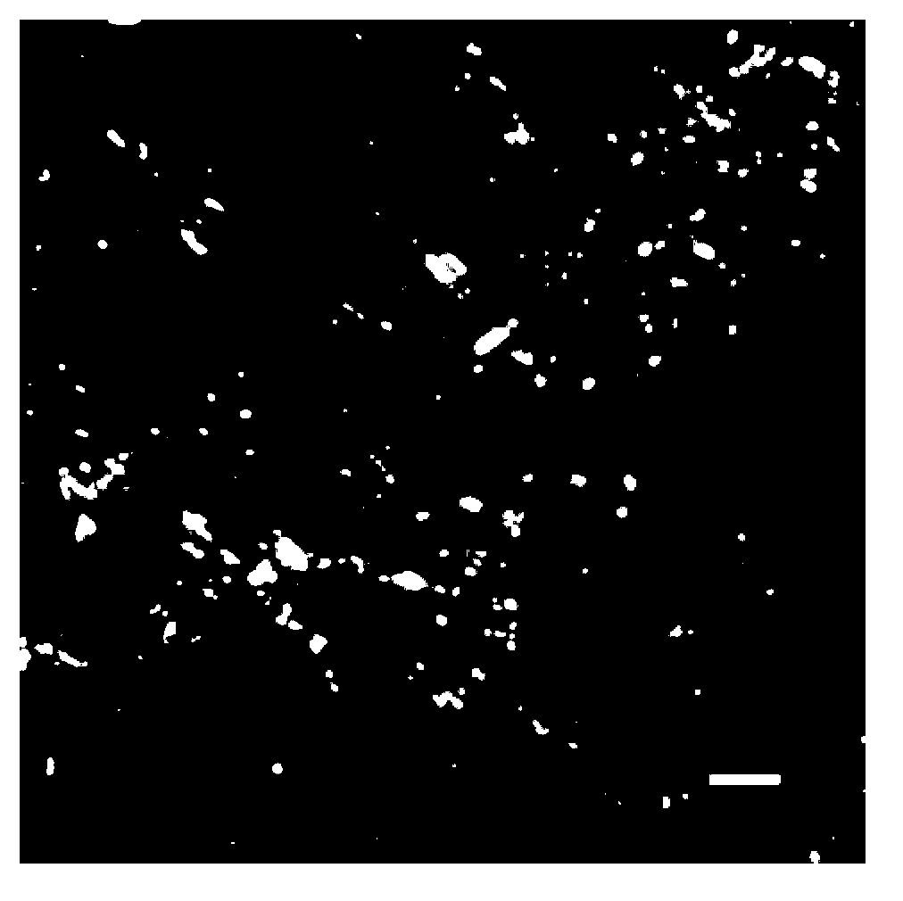 HMBG (High Mobility Group Box) 1 modified bone tissue engineering bracket material and preparation method thereof