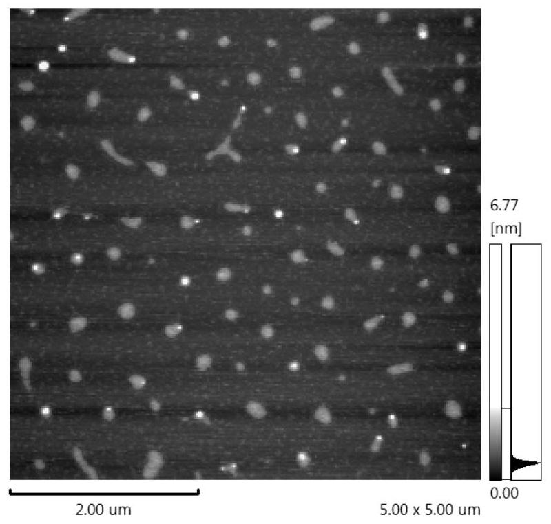 Borophene nanosheet and preparation method thereof