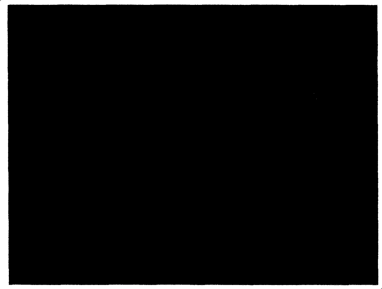 Antibiosis layered board and preparation method thereof