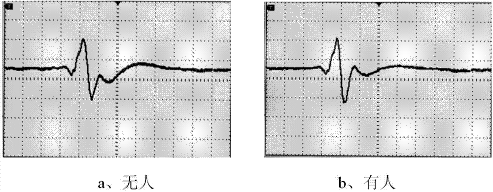 Digital passive infrared stationary human body detector and detection method thereof