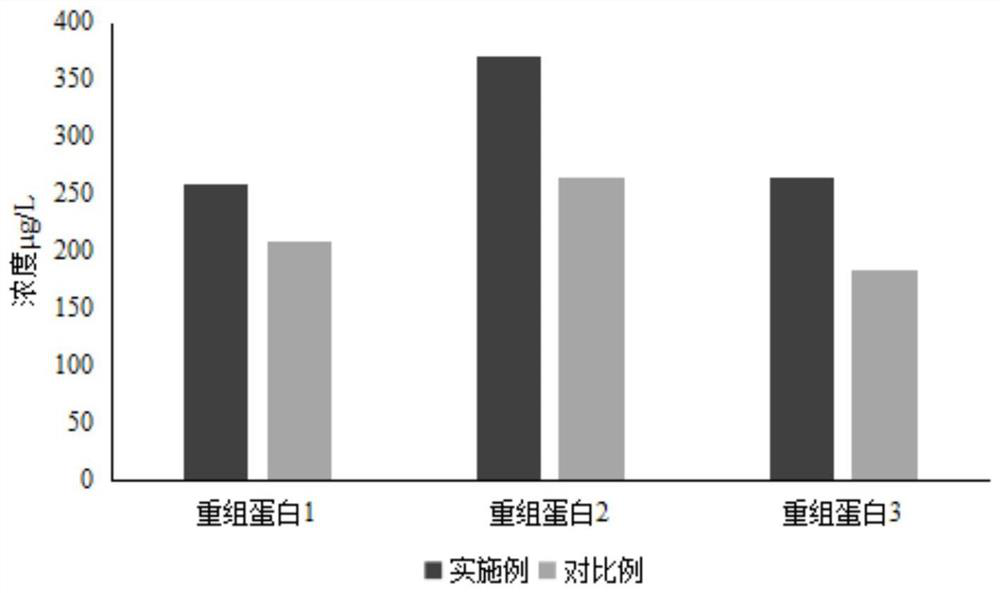 Serum-free culture medium suitable for HEK293 cells