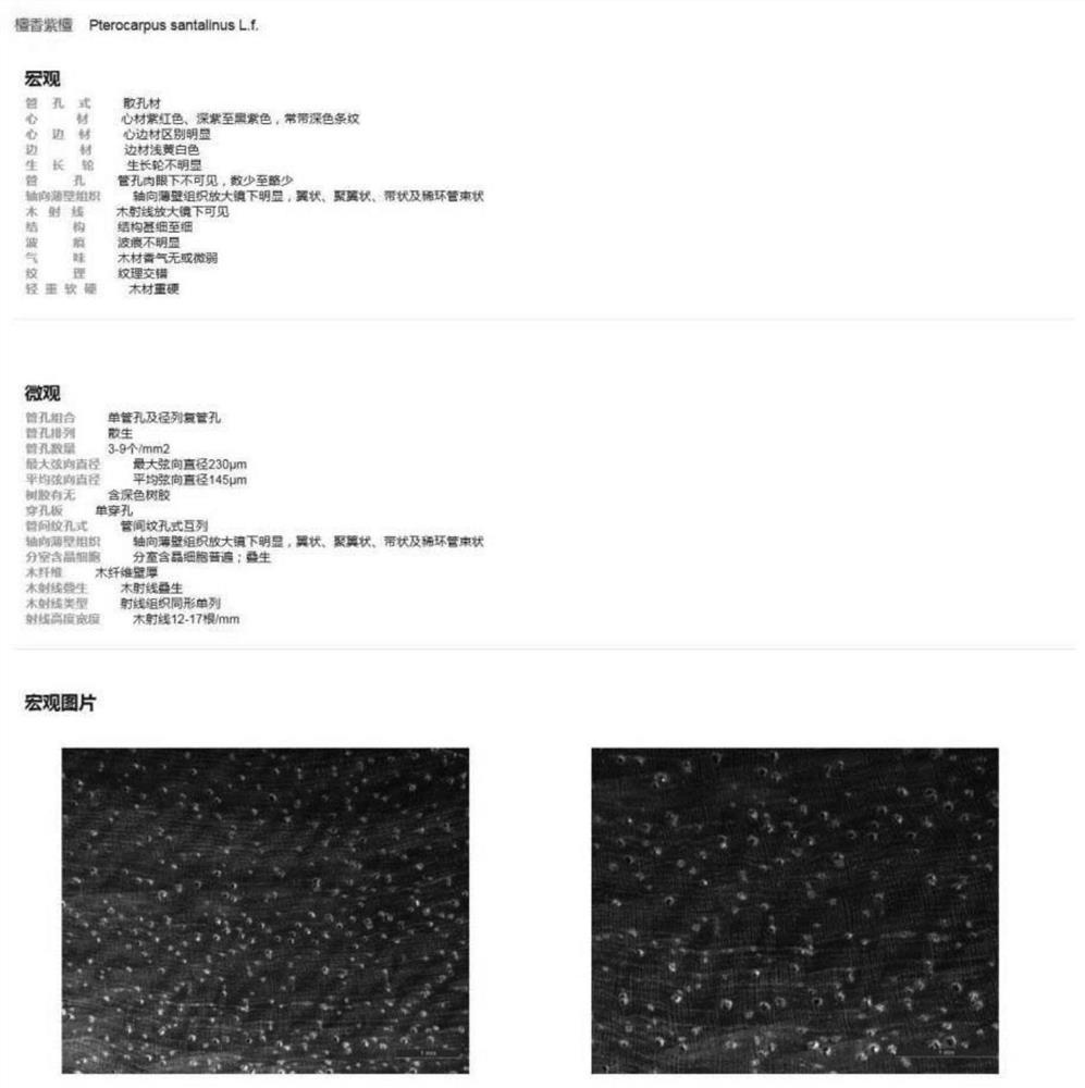 Specimen information query, sorting and extraction system and method