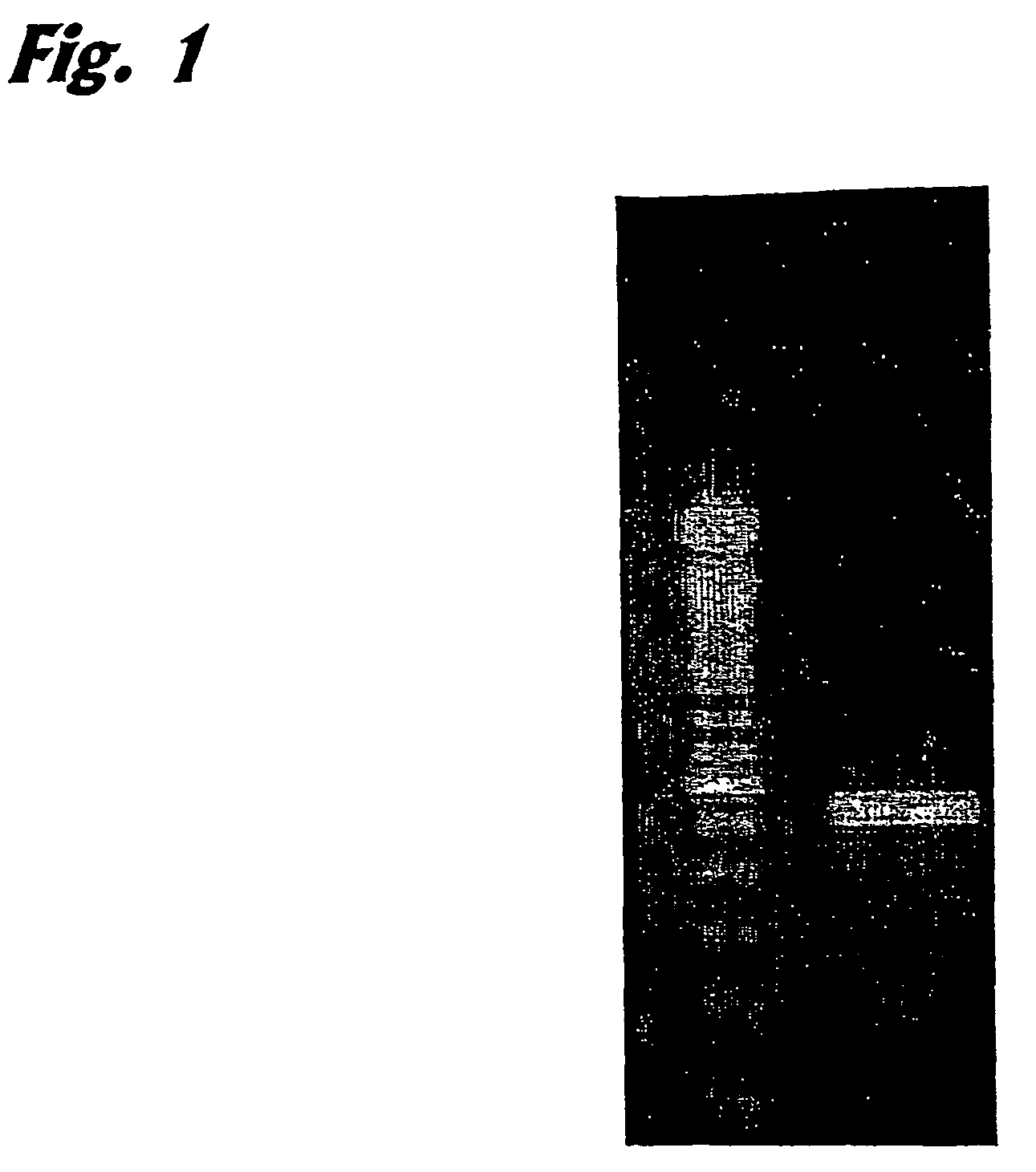 Method for detecting cytosine methylations