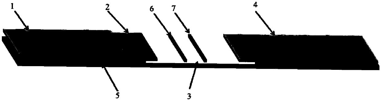 CAV-1 monoclonal antibody, variable region sequence, hybridoma cell strain and application thereof