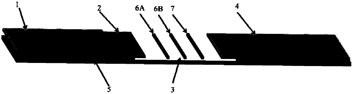 CAV-1 monoclonal antibody, variable region sequence, hybridoma cell strain and application thereof