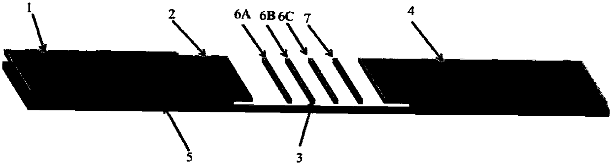 CAV-1 monoclonal antibody, variable region sequence, hybridoma cell strain and application thereof