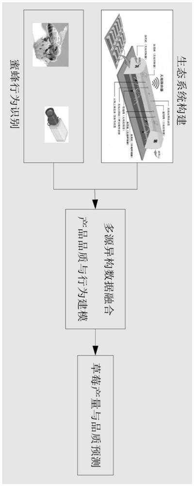 An intelligent construction method for the ecological environment of a strawberry and bee composite facility