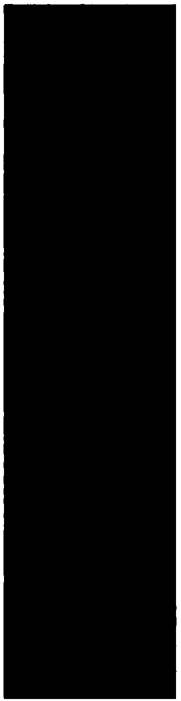 Gene modification based method for expressing exogenous drug through probiotic and application of method