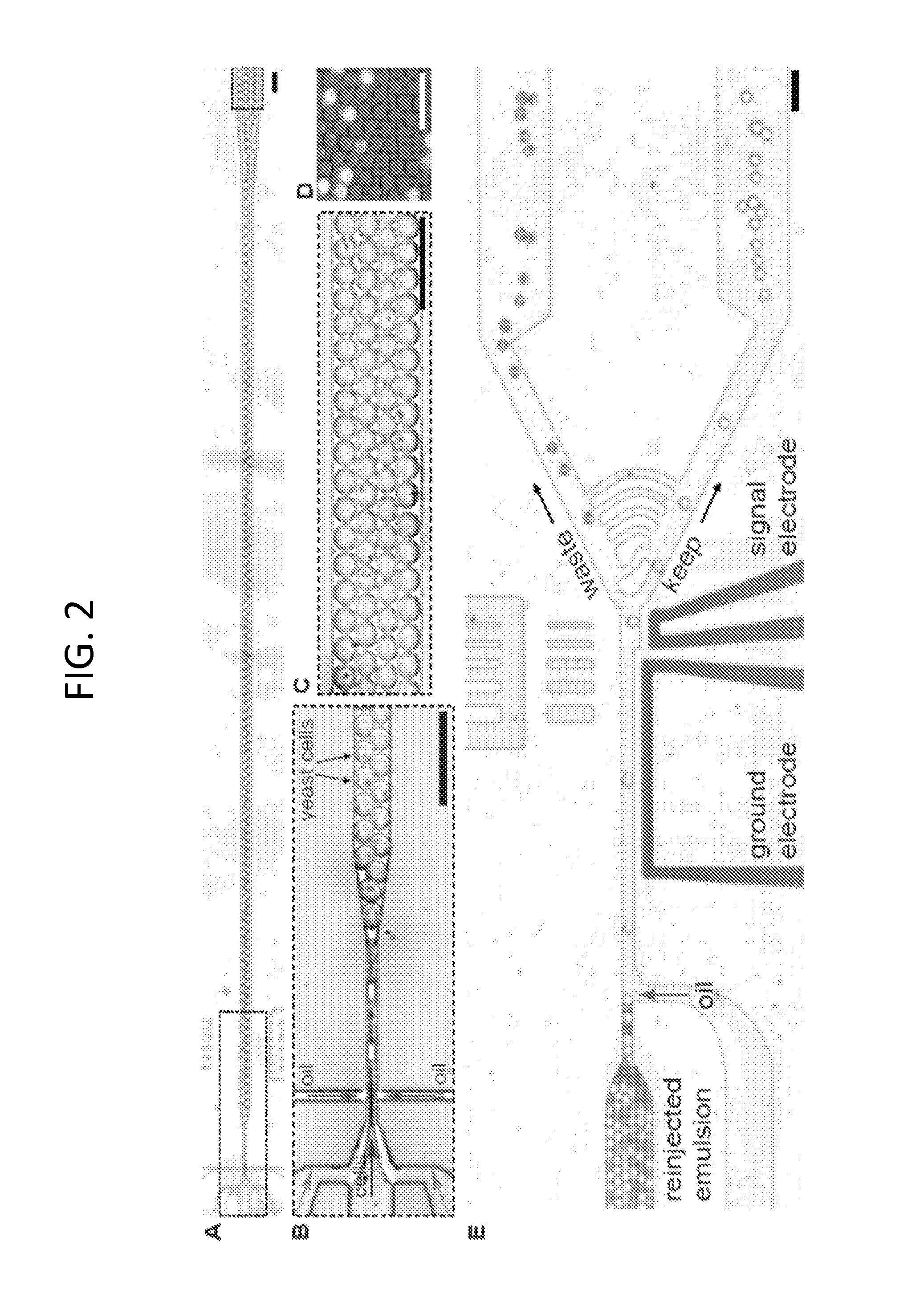 Methods and systems for detecting biological components