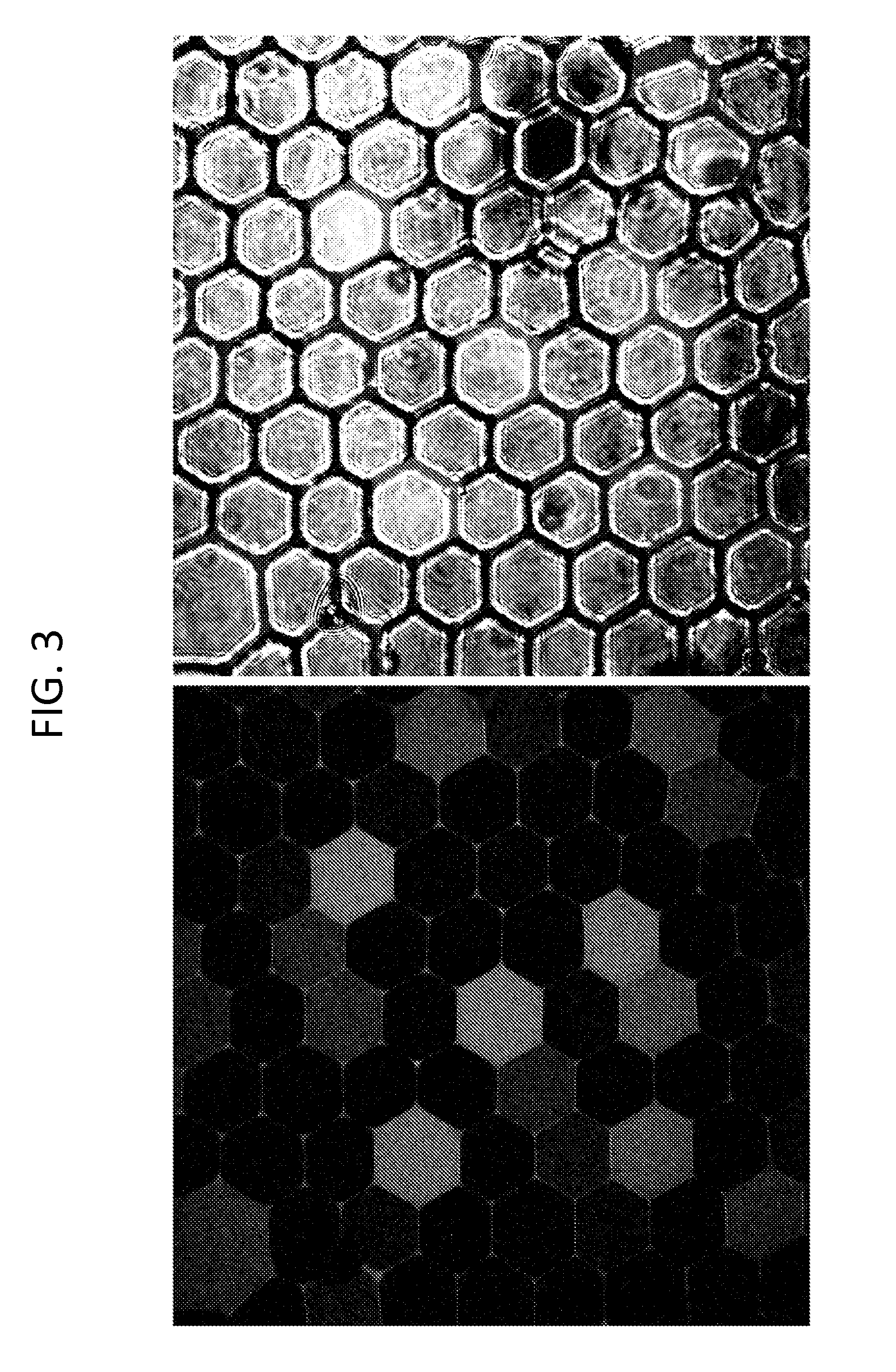 Methods and systems for detecting biological components