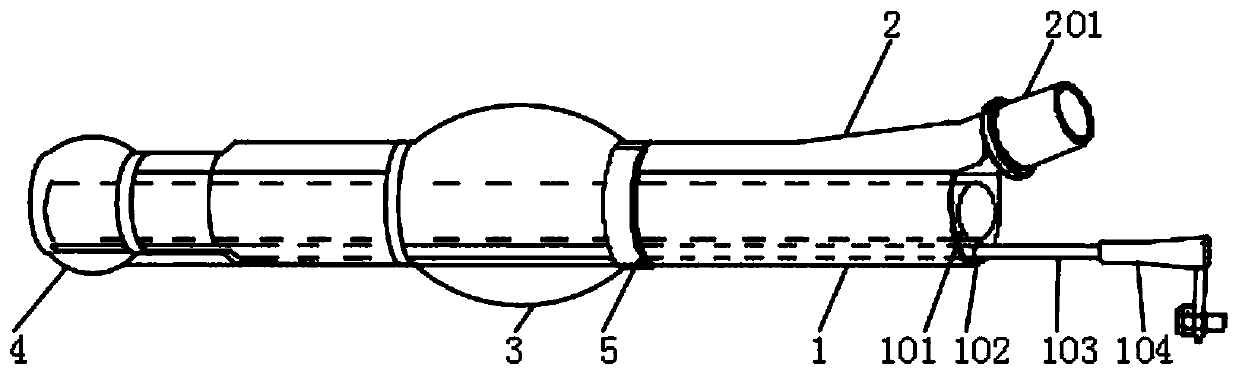 Laryngeal mask cannula for gastroscopy