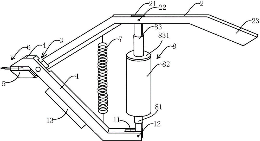 Flaring device for bivalve molluscs