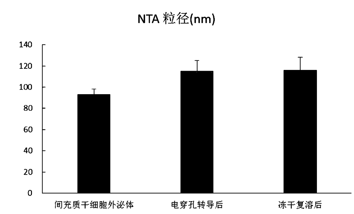 Stem cell exosome capable of repairing skin as well as preparation method and application thereof