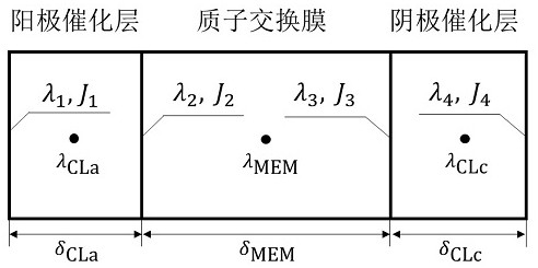 A Discrete Modeling Method for Electric Drag Effect of Water Transport in Fuel Cells