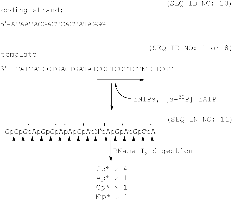 Nucleic acid base pair