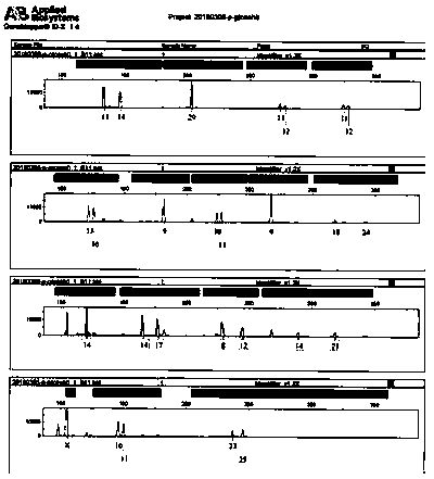 Method and kit for extracting sperm cell DNA from sexual assault case check sample by differential splitting decomposition