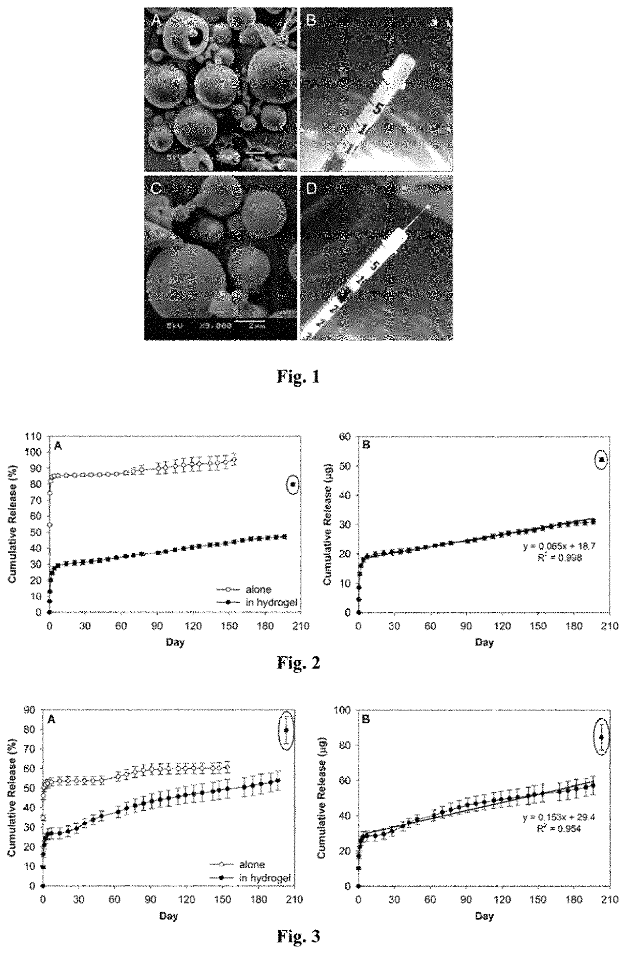 Biodegradable microsphere-hydrogel ocular drug delivery system