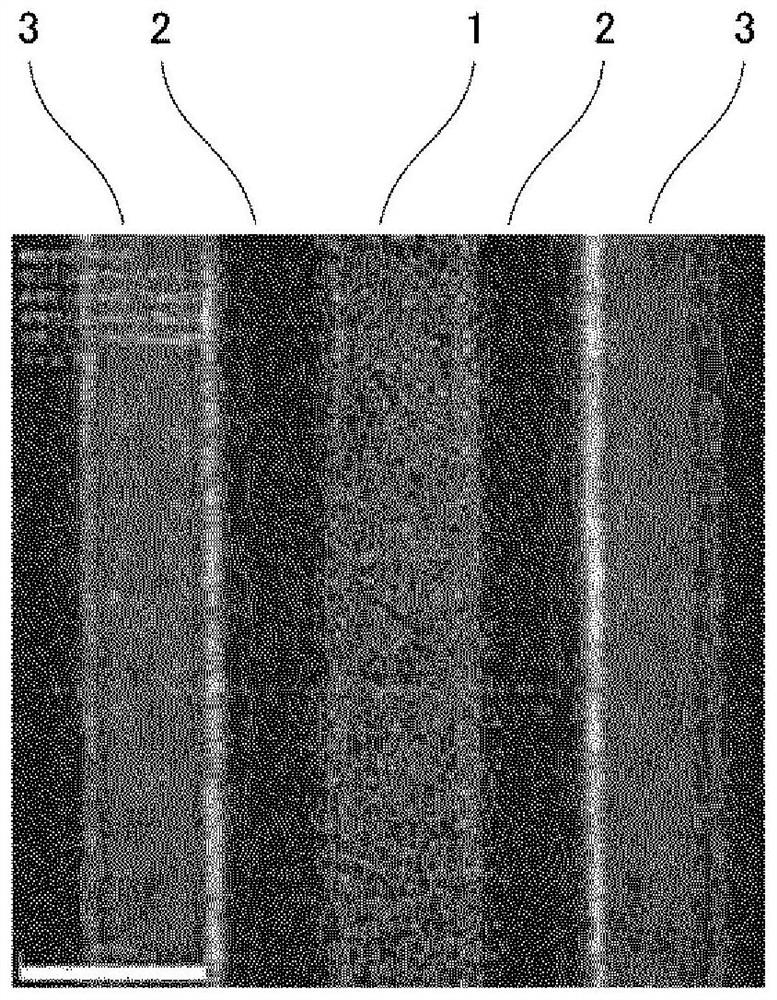 Conductive metal resin multilayer body and molded body of same