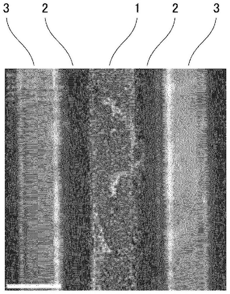 Conductive metal resin multilayer body and molded body of same