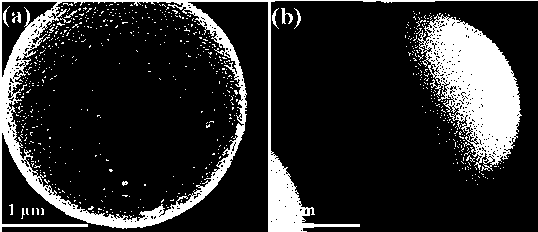 Preparation and application of multi-component block hydrophilic copolymer-silica gel hybrid chromatography packing