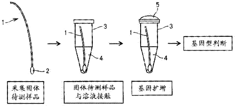 Genotype determination method