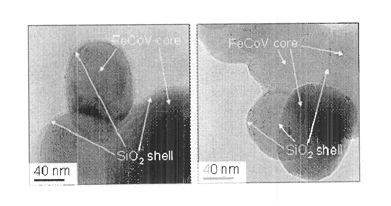 Iron cobalt ternary alloy nanoparticles with silica shells