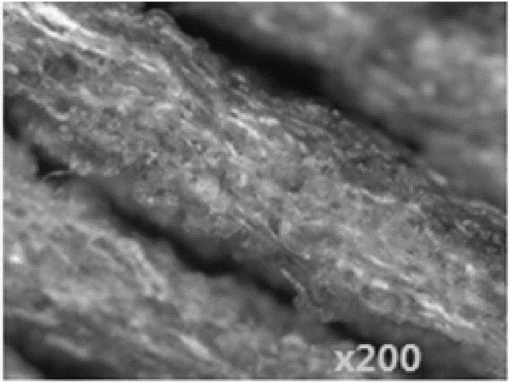 Making method of high-color fastness dye-free ultrafine fiber synthetic leather base