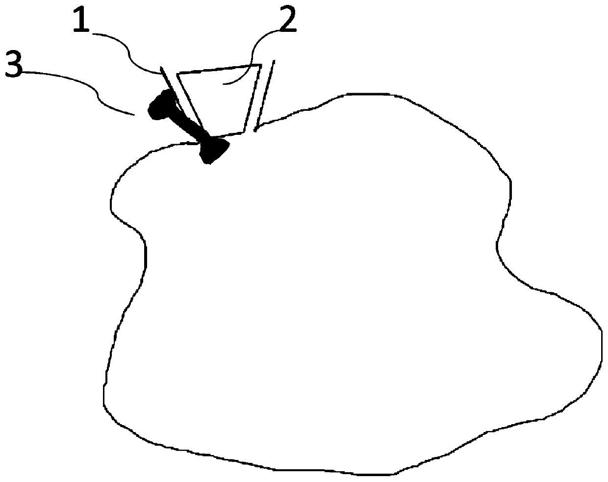 Simulated brain model and preparation method thereof