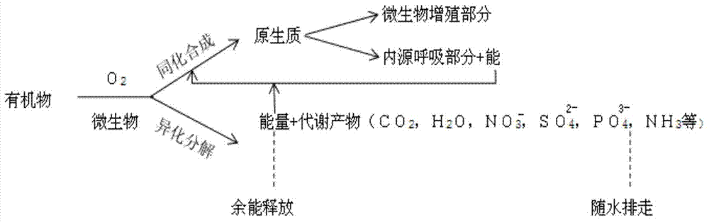 Ethylene oxide sterilizing and exhaust gas zero-emission treatment system