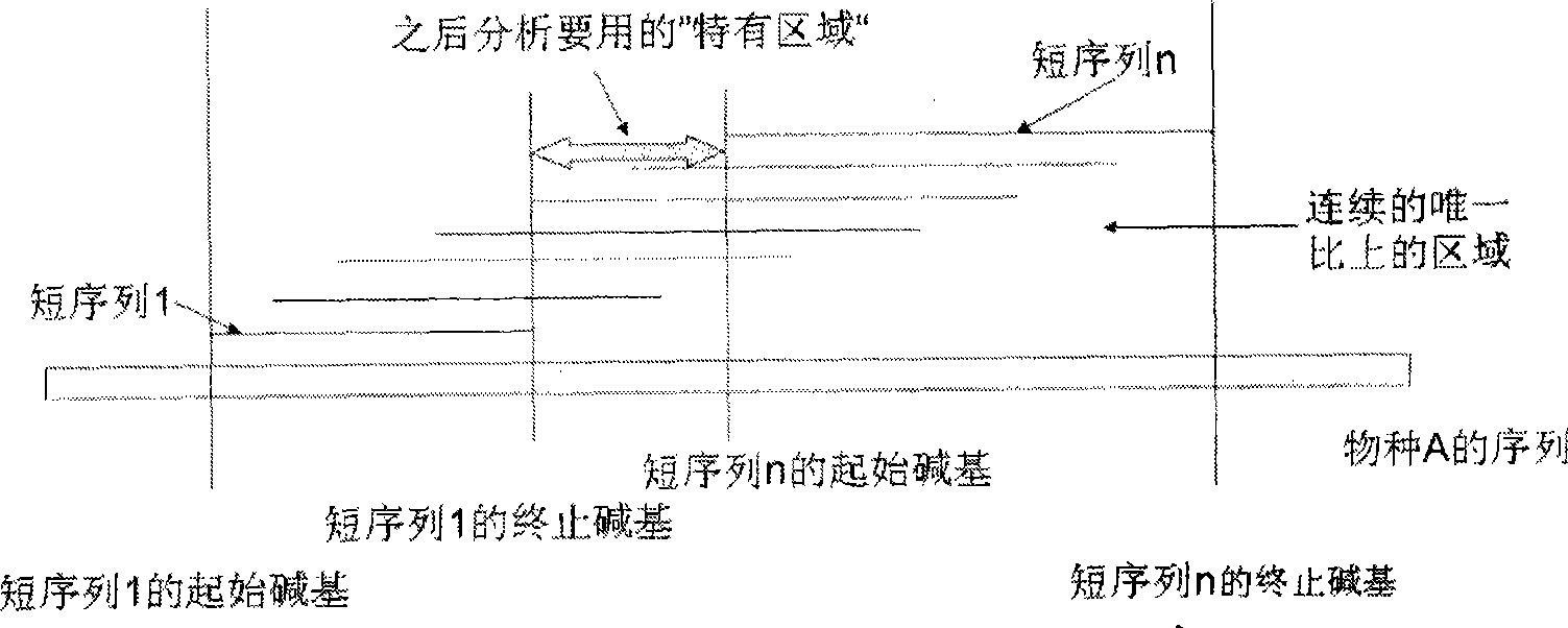 Environmental microorganism detection method and system