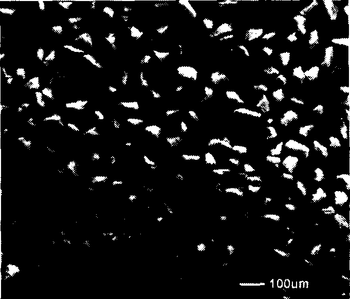 Alserin molecular blotting polymer preparing method