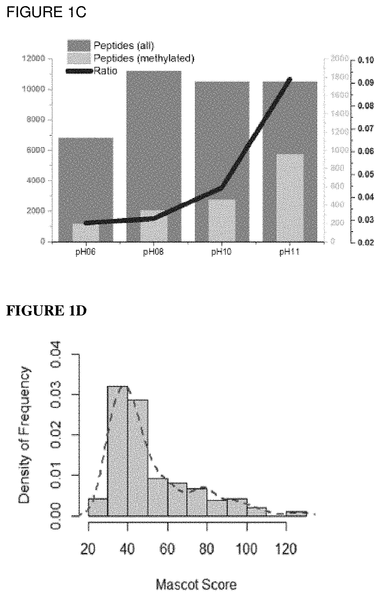 Method for profiling protein methylation