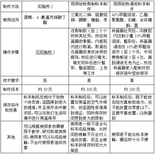 Manufacturing method for animal specimen