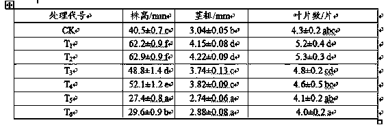 Functional flower and plant cultivation substrate