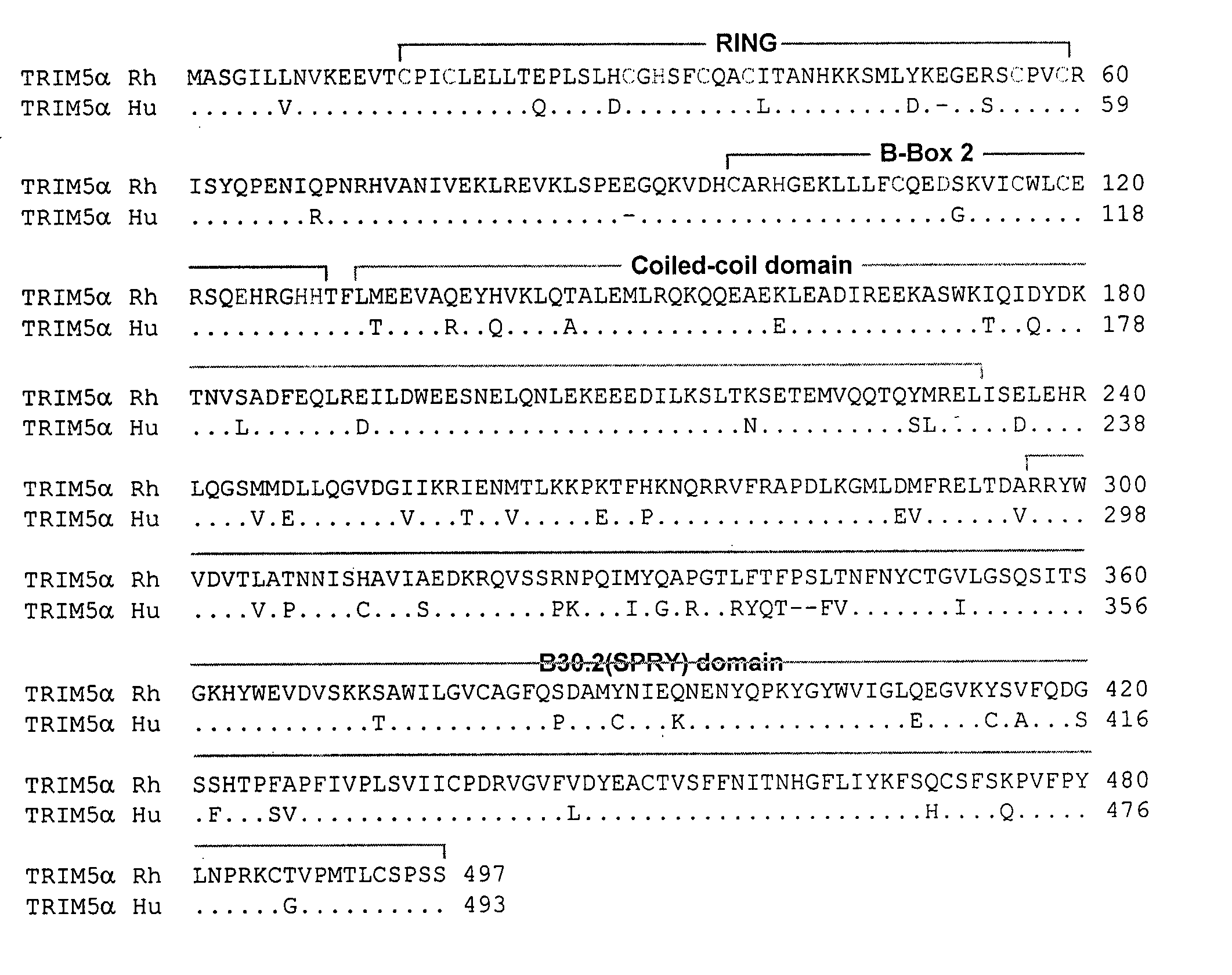 Methods and compositions for the treatment and prevention of HIV infection using TRIM5alpha