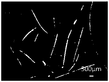 Preparation method of composite cavity microfibers based on micro-fluidic technology