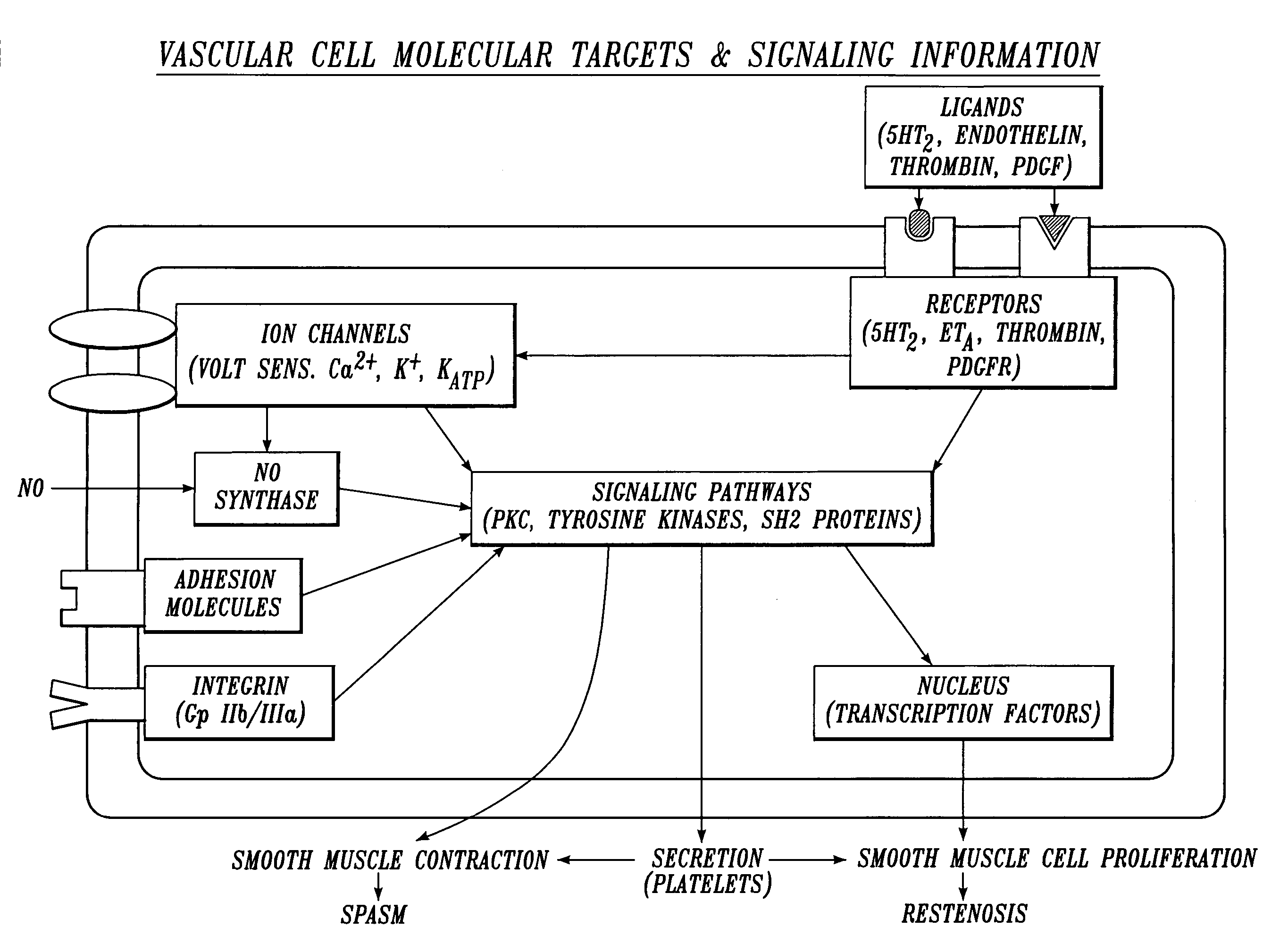 Irrigation solution and method for inhibition of pain and inflammation