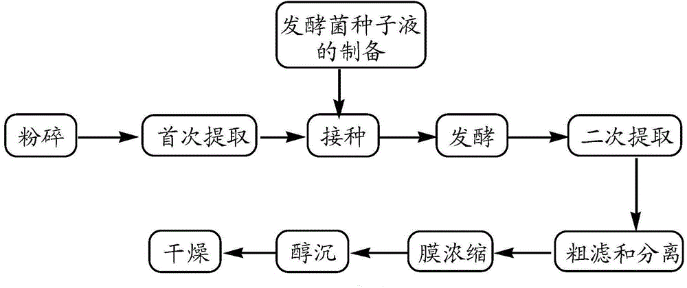 Method for extracting mesona chinensis benth polysaccharide through microbial fermentation